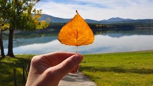 Primavera d�autunno