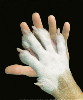 Quando sar� tutto finito