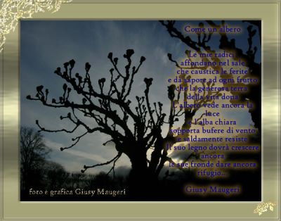 Come un albero