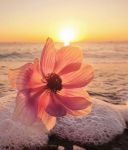 A volte basta poco per essere felici