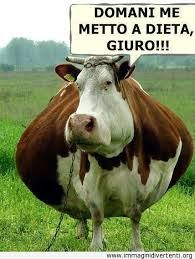Da luneddì...sto a dieta!