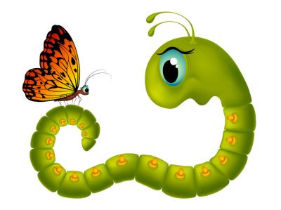 Er bruco e la farfalla