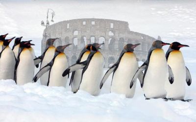 La nevicata (a Titty dedicata)