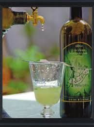 Artemisia Absinthium (Assenzio)