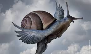 Resilienza... a vorte resili e nun ce lo sai!