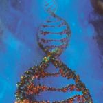 Stamin Al� (la cellula anarchico-insurrezzionalista)