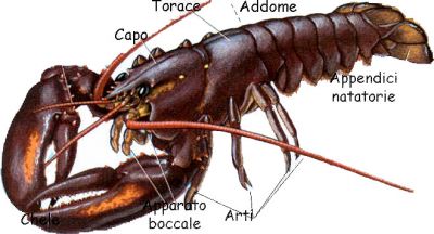 Er banchetto de fine anno