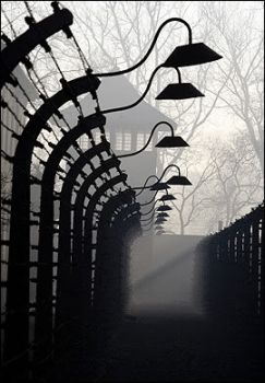 Non c'è voluto molto