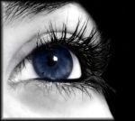 Forse � solo un pensiero