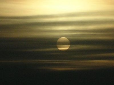 L'alba arriva con il grido  