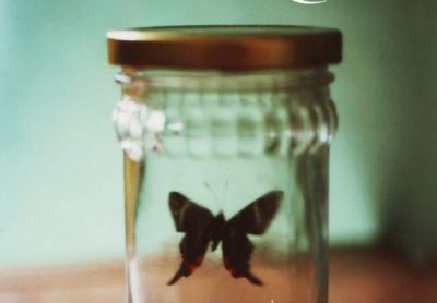 Cosa vorremmo conservare?