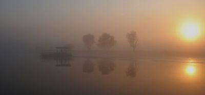 Passeggiata nel sogno di una notte