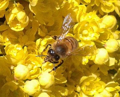 E respirando profondamente