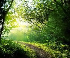 Ed ecco che sorge dietro le case