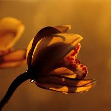 Dietro al sorriso c'� un altro volto