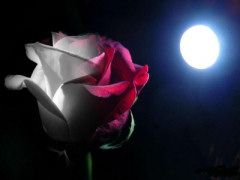 Il ritardo del cuore