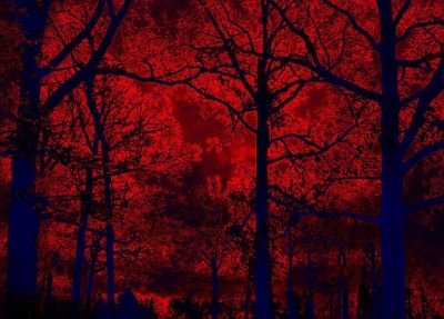 Cadere senza fermarsi