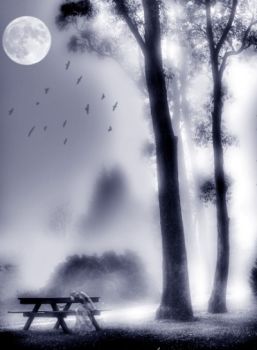 Di quel che � stato