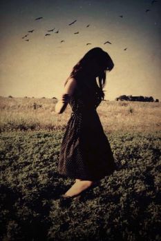 Non raccoglier� le briciole