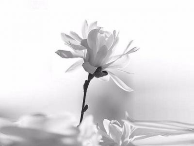 E si chiam� rugiada