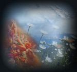 Nell�aria il risveglio  