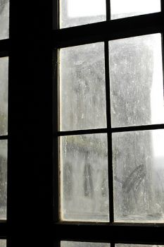 Nessuna conchiglia ritorn� al suo mare