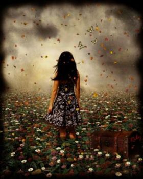 Tra le farfalle di un campo in fiore