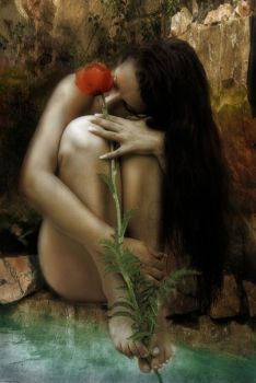 Com'era profumata la rosa