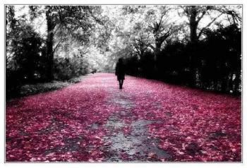 Quando l'ultima goccia