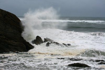 Cosa sar� del mio domani