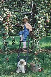 Basta cos� poco per essere felici  