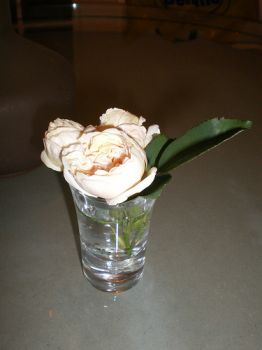 Quando tutto � negativo