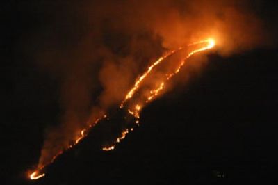 Incuria o dolo sul monte Piccaro?