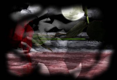 Tu vieni a sdraiarti sul mio cuore