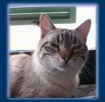 Anna... Forse ti ricordi di Moustache