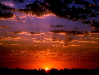 Piove sulla nostra primavera