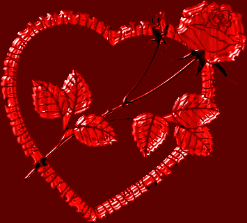 Ci sono rose da cogliere