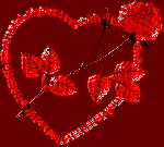 Ci sono rose da cogliere