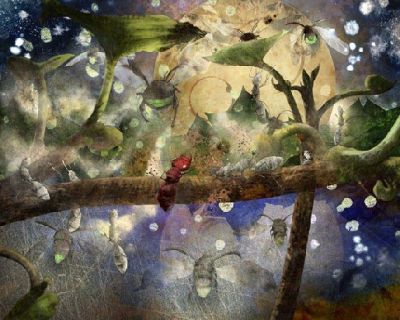 Gocce di fresco amore