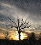 I segreti della verit�