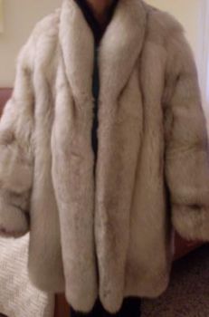 Breve iter di una pelliccia di volpe argentata  