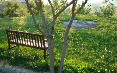 Una panchina per sognare