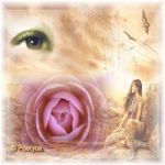 The last page left / L'ultima pagina rimasta