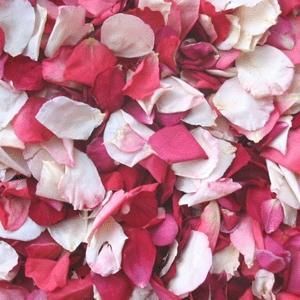 Di petalo in petalo... l'amore