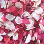 Di petalo in petalo... l'amore