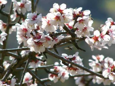 Accadde ai primi di marzo