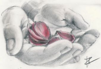 I fiori che da te colsi