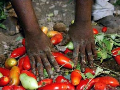 Requiem per lo straniero