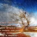 Pioggia di fine maggio