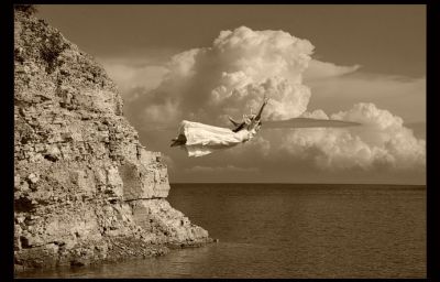 Vola solo chi osa farlo